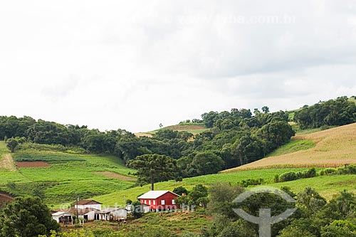  Subject: Rural landscape / Place: Guaraciaba - Santa Catarina state - Brazil / Date: 02/2010 