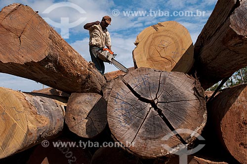  Subject: Man working at forest management / Place: Xapuri city - Acre state - Brazil / Date: 10/07/2008 