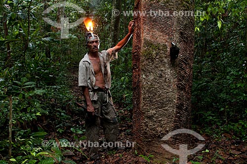  Subject: Rubber tapper / Place: Xapuri city - Acre state - Brazil / Date: 15/10/2009 