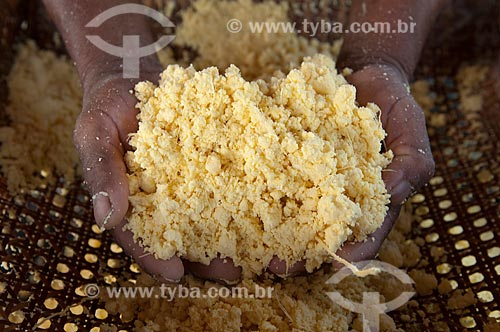  Subject: Handmade manufacture of cassava flour / Place: Parintins village - Amazonas state - Brazil / Date: 25/10/2009 