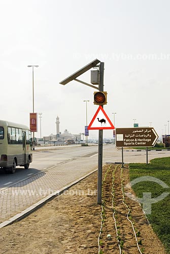  Subject: Traffic Light powered by solar energy. The signs on roads alert for the possibility of camels on the lane  / Place: Dubai - United Arab Emirates  / Date: Janeiro 2009  