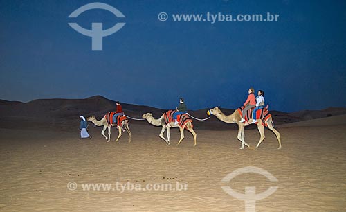  Subject: Ride on the backs of dromedaries in the desert  / Place:  Dubai - United Arab Emirates  / Date: Janeiro 2009 