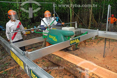  Wood being cut with portable sawmill used to avoid dragging the logs with tractors by a long way through the forest, and so destroying more than necessary, in the communitary management system of Mamiraua Reserve   - Tefe city - Brazil