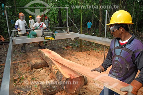  Wood being cut with portable sawmill used to avoid dragging the logs with tractors by a long way through the forest, and so destroying more than necessary, in the communitary management system of Mamiraua Reserve   - Tefe city - Brazil