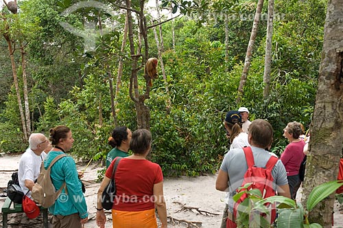 Subject: Female Red Bald-headed Uakari (Cacajao rubicundus), and tourists, in the Amazon Ecopark Jungle Lodge touristic complex  / Place:  Manaus - Amazonas state - Brazil  / Date: 01/2006 
