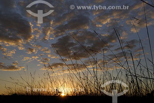  Subject: Sunset at Emas National Park  / Place: Goias state - Brazil  / Date: 30/07/2006 