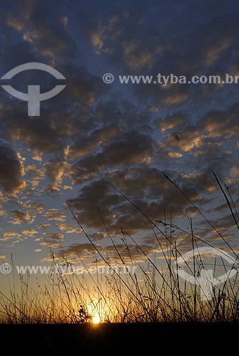  Subject: Sunset at Emas National Park  / Place: Goias state - Brazil  / Date: 30/07/2006 