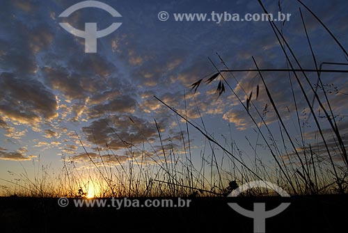  Subject: Sunset at Emas National Park  / Place: Goias state - Brazil  / Date: 30/07/2006 