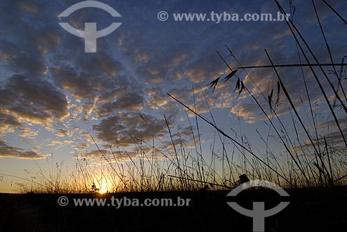  Subject: Sunset at Emas National Park  / Place: Goias state - Brazil  / Date: 30/07/2006 