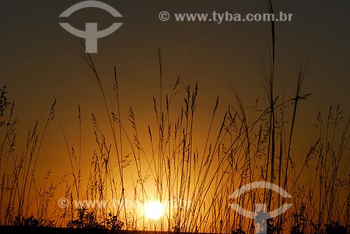  Subject: Sunset at Emas National Park  / Place: Goias state - Brazil  / Date: 29/08/2006 