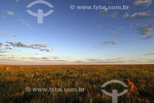  Subject: Grassland in Emas National Park  / Place: Goias state - Brazil  / Date: 30/07/2006 