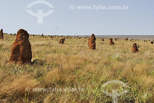  Subject: Termites mounds in Emas National Park  / Place: Goias state - Brazil  / Date: 09/09/2007 