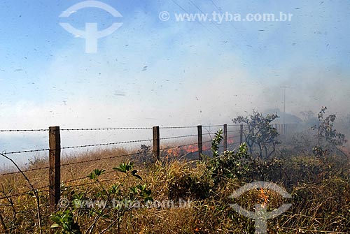  Fire fighting bands of vegetation are burned prophylactically in strategic locations to prevent the fire from spreading uncontrollably   - Mineiros city - Brazil