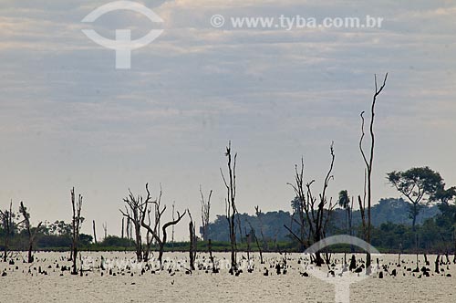  Subject: Itaipu Lake - the water was impounded by Itaipu Hydroelectric Power Plant  / Place:  Foz do Iguacu city - Parana state - Brazil  / Date: 08/06/2009 