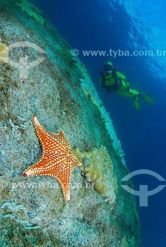  Subject: Starfish and diver in Angra dos Reis city, Rio de Janeiro state, Brazil / Place: Ilha Grande Bay - Angra dos Reis - Rio de Janeiro state (RJ) - Brazil / Date: 04/06/2010 