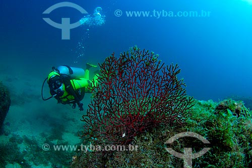  Subject: Coral and diver in Angra dos Reis city, Rio de Janeiro state, Brazil / Place: Ilha Grande Bay - Angra dos Reis - Rio de Janeiro state (RJ) - Brazil / Date: 04/06/2010 