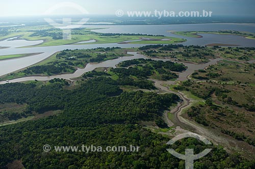  Subject: Lakes region close to the Madeirinha river  / Place:  Amazonas state - Brazil  / Date: 11/2007 