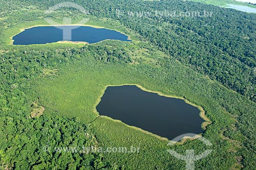  Subject: Lakes region close to the Madeirinha river  / Place:  Amazonas state - Brazil  / Date: 11/2007 