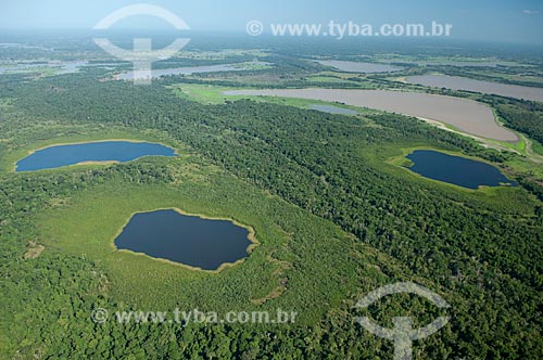  Subject: Lakes region close to the Madeirinha river  / Place:  Amazonas state - Brazil  / Date: 11/2007 