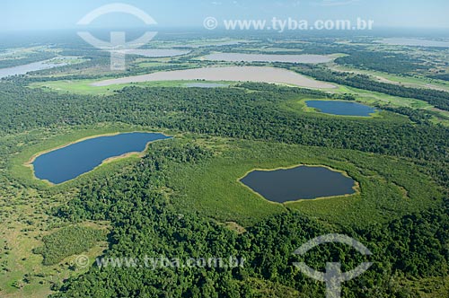  Subject: Lakes region close to the Madeirinha river  / Place:  Amazonas state - Brazil  / Date: 11/2007 