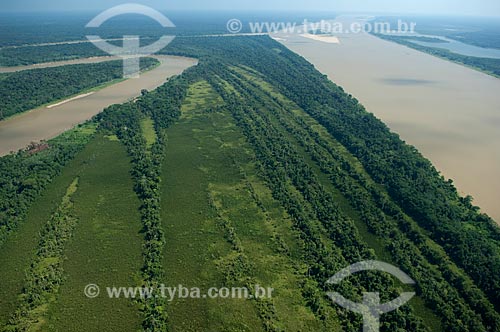  Subject: Aerial view of the Madeira river  / Place:  Amazonas state - Brazil  / Date: 11/2007 