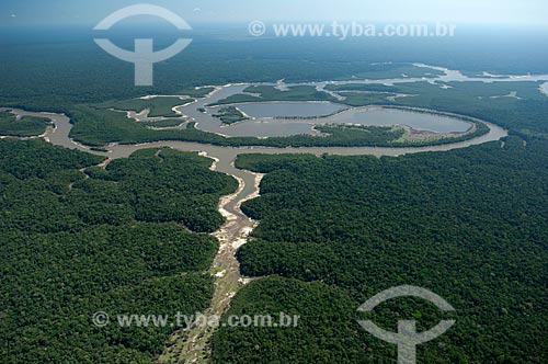  Subject: Aerial view of the Igapo-açu River  / Place:  Amazonas state - Brazil  / Date: 03/11/2007 