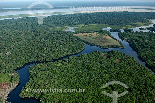  Subject: Aerial view of the Madeira river lowlands  / Place:  Borba municipality - Amazonas state - Brazil  / Date: 11/2007 