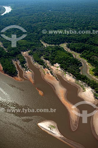  Subject: Right border of the Igapo-açu river, during the dry season  / Place:  Amazonas state - Brazil  / Date: 11/2007 