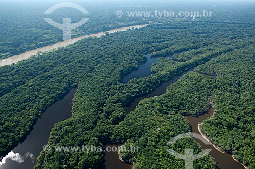  Subject: Aerial view of the Madeirinha river, and lowland lakes with different colors of water  / Place:  Northeast of the Borba municipality - Amazonas state - Brazil  / Date: 11/2007 