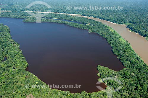  Subject: Aerial view of the Madeirinha river, and lowland lakes with different colors of water  / Place:  Northeast of the Borba municipality - Amazonas state - Brazil  / Date: 11/2007 