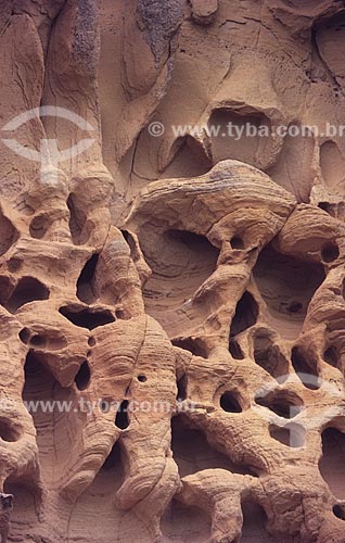  Subject: Rocky wall with alveolar shaped holes formed by dissolution  / Place:  Region of Central - Bahia state - BA - Brazil  / Date: 1995 