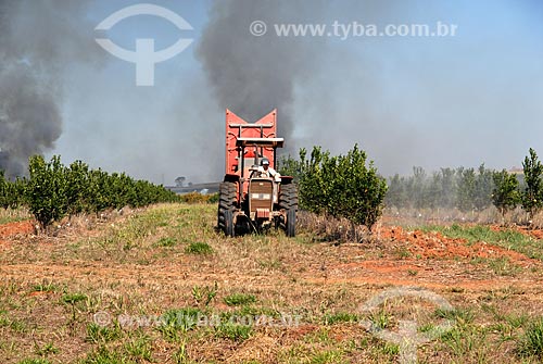  Subject: Aplication of pesticides by a tractor in a citrus plantation  / Place:  Mogi-Mirim city - Sao Paulo state- Brazil  / Date: 07/2006 