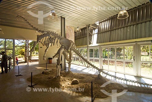  Skeleton parcially rebuilt of the Titanossaur (Uberabatitan robeiroi), found near Uberaba city. This is the biggest dinossaur found in Brazil   - Uberaba city - Brazil