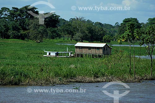 Subject: Riverine typical house in the Amazonas River  / Place:  Amazonas state - Brazil  / Date: 06/2010 