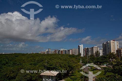  Subject: Mangroove of the 13 de Julho Neighborhood  / Place:  Aracaju city - Sergipe state - Brazil  / Date: 07/2010 