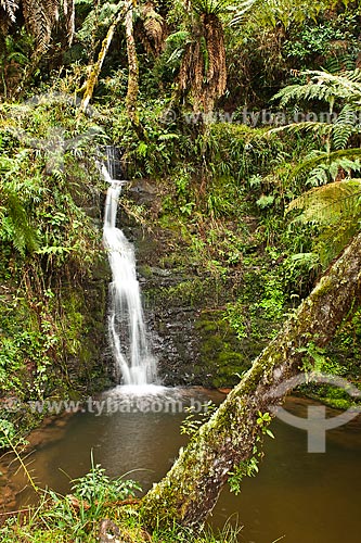  Subject: Waterfall at Bonito River / Place: Urubici - Santa Catarina state (SC) - Brazil / Date: 17/07/2010 