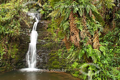  Subject: Waterfall at Bonito River / Place: Urubici - Santa Catarina state (SC) - Brazil / Date: 17/07/2010 