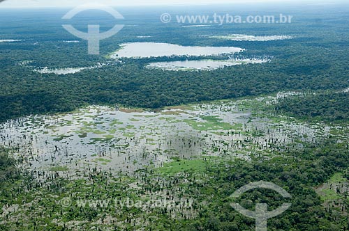  Subject: Aerial view of the Mamore river lowlands during the great flood of the 2008 summer  / Place:  Near Trinidade - Beni Department - Bolivia  / Date: 03/2008 