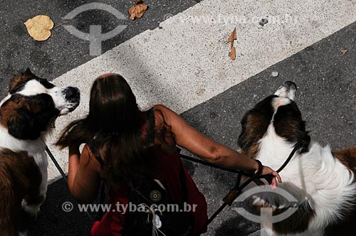  Subject: Woman walking dogs of the Saint Bernards breed / Place: Copacabana - Rio de Janeiro city - Rio de Janeiro state - Brazil / Date: 01/2009 