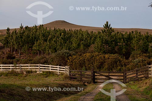  Subject: Fence and gate of a farm  / Place:  Campos de Cima da Serra - Rio Grande do Sul state - Brazil  / Date: 09 /2010 