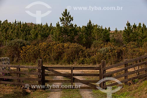  Subject: Fence and gate of a farm  / Place:  Campos de Cima da Serra - Rio Grande do Sul state - Brazil  / Date: 09 /2010 