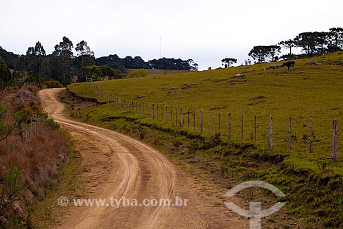  Subject: Dirt road  / Place:  Campos de Cima da Serra - Rio Grande do Sul state - Brazil  / Date: 09 /2010 