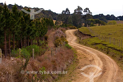  Subject: Dirt road  / Place:  Campos de Cima da Serra - Rio Grande do Sul state - Brazil  / Date: 09 /2010 