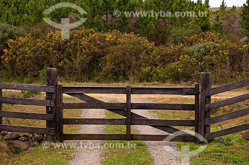  Subject: Fence and gate of a farm  / Place:  Campos de Cima da Serra - Rio Grande do Sul state - Brazil  / Date: 09 /2010 