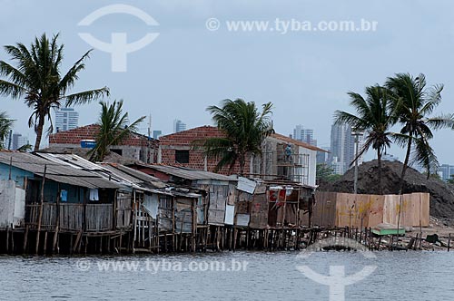  Subject: Palafitas (precarious wooden houses over stilts) in a slum of the Ilha de Deus (Deus Island)  / Place:  Recife city - Pernambuco state - Brazil  / Date: 14/10/2010 