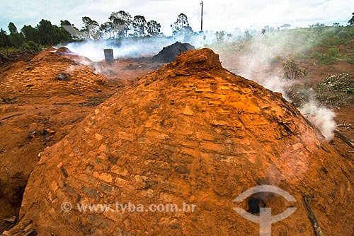  Subject: Charcoal production in rustic oven  / Place:  Vicinity of Diamantina city - Minas Gerais state - Brazil  / Date: 12/ 2009 