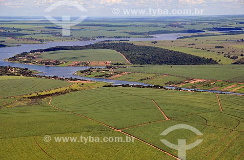  Subject: Aerial view of a Sugar cane plantation in the rural area of Sabino city  / Place:  Sabino city - Sao Paulo state - Brazil  / Date: 02/2009 
