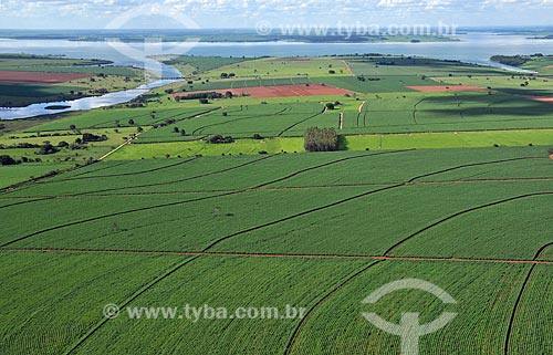  Subject: Aerial view of a Sugar cane plantation in the rural area of Sabino city  / Place:  Sabino city - Sao Paulo state - Brazil  / Date: 02/2009 