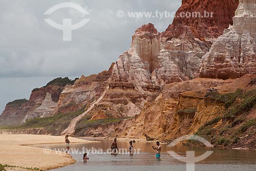  Subject: Cliffs of the Gunga beach  / Place:  South shore of Maceio city - Alagoas state - Brazil  / Date: 2011 