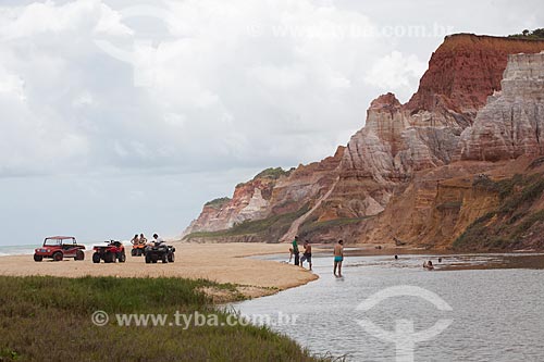  Subject: Cliffs of the Gunga beach  / Place:  South shore of Maceio city - Alagoas state - Brazil  / Date: 2011 